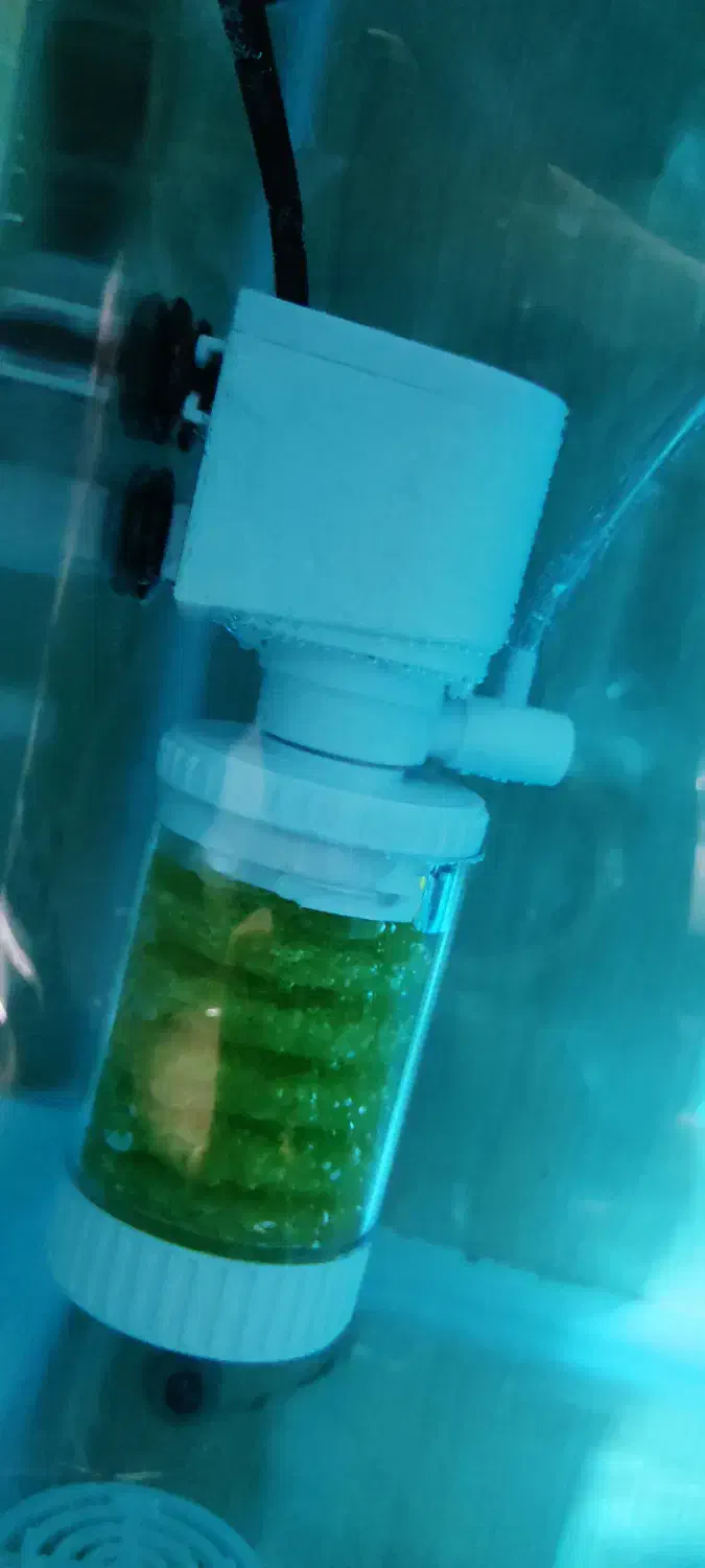 اکواریوم نو نووکامل|ماهی|بهبهان, |دیوار