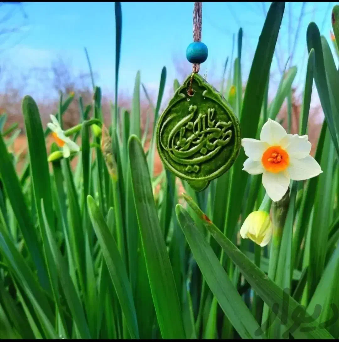 کربلا طرح مهدوی (زمینی6/900/000) هوایی درجه ب|تور و چارتر|مشهد, ایثار|دیوار