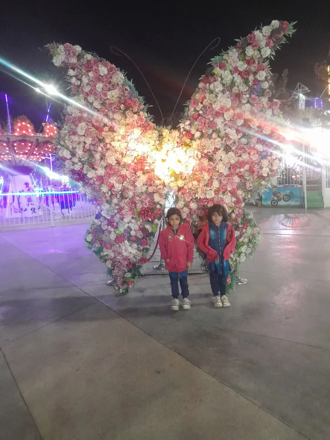 گل کاری حامد|گل و گیاه طبیعی|تاکستان, |دیوار