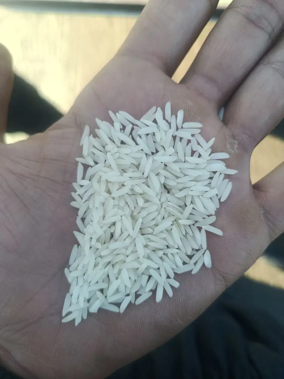 برنج هاشمی درجه یک|خوردنی و آشامیدنی|الوند, |دیوار