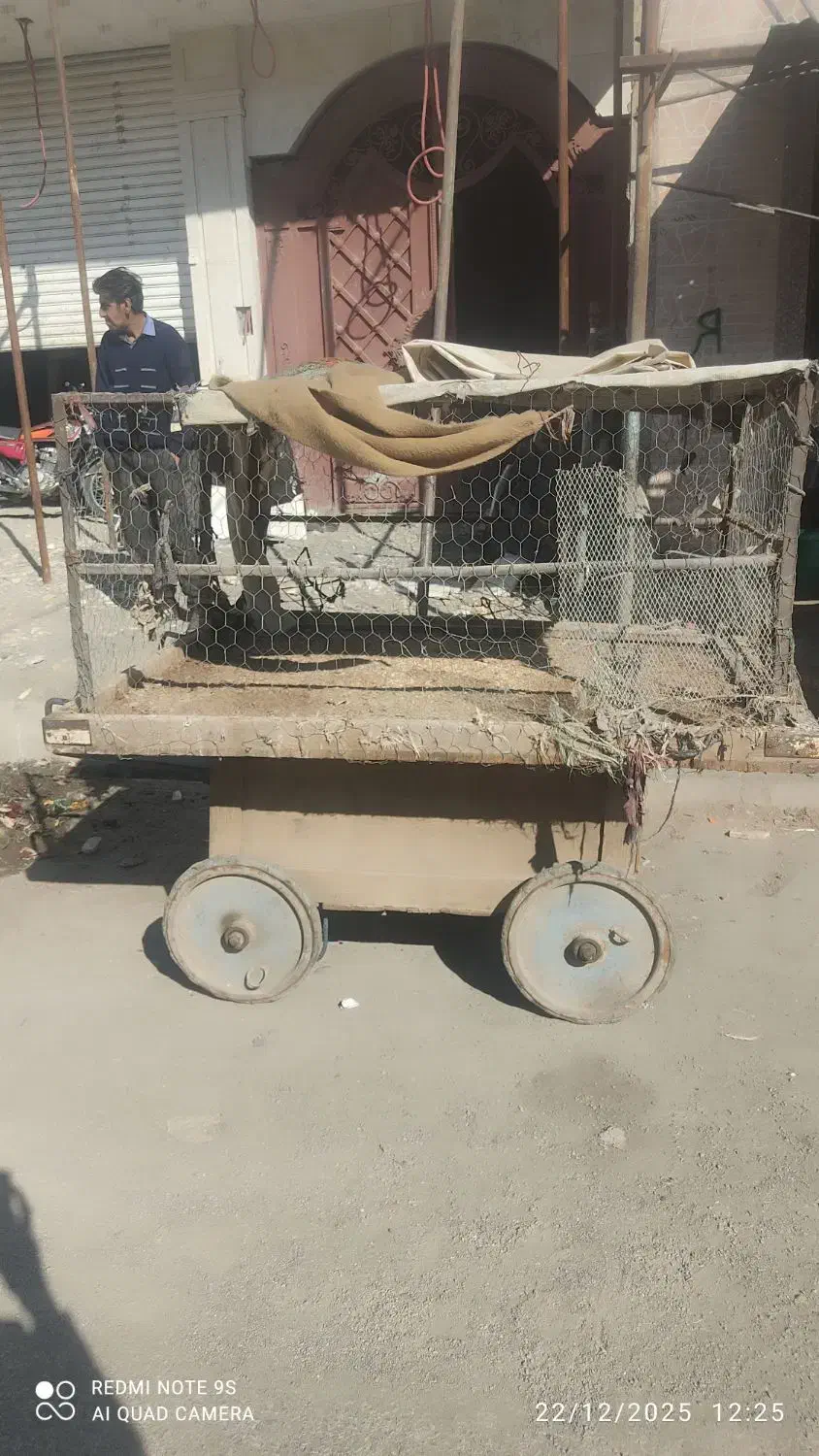 گاری چوبی روسیه|کلکسیون اشیاء عتیقه|زاهدان, |دیوار