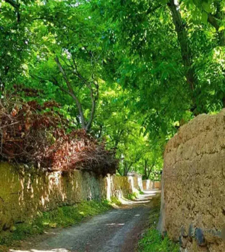 فروش زمین ۱۰۱ متری در قنوات روستای نواران|فروش زمین و ملک کلنگی|قم, باجک دو|دیوار