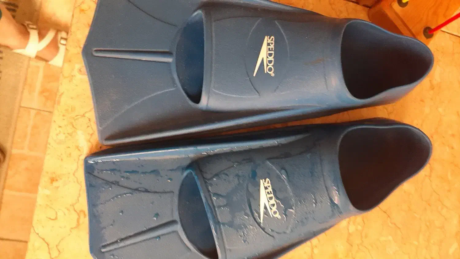 فین قدرتی اسپیدو اصل|غواصی و ورزشهای آبی|تهران, دانشگاه شریف|دیوار