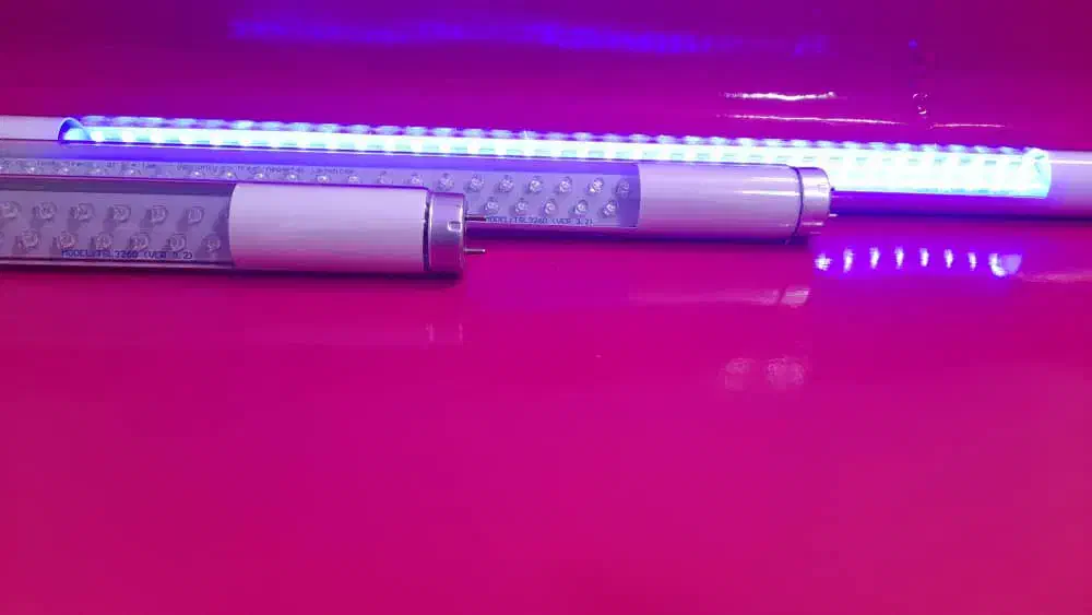 دستگاه زردی نوزاد|پزشکی|بوشهر, |دیوار