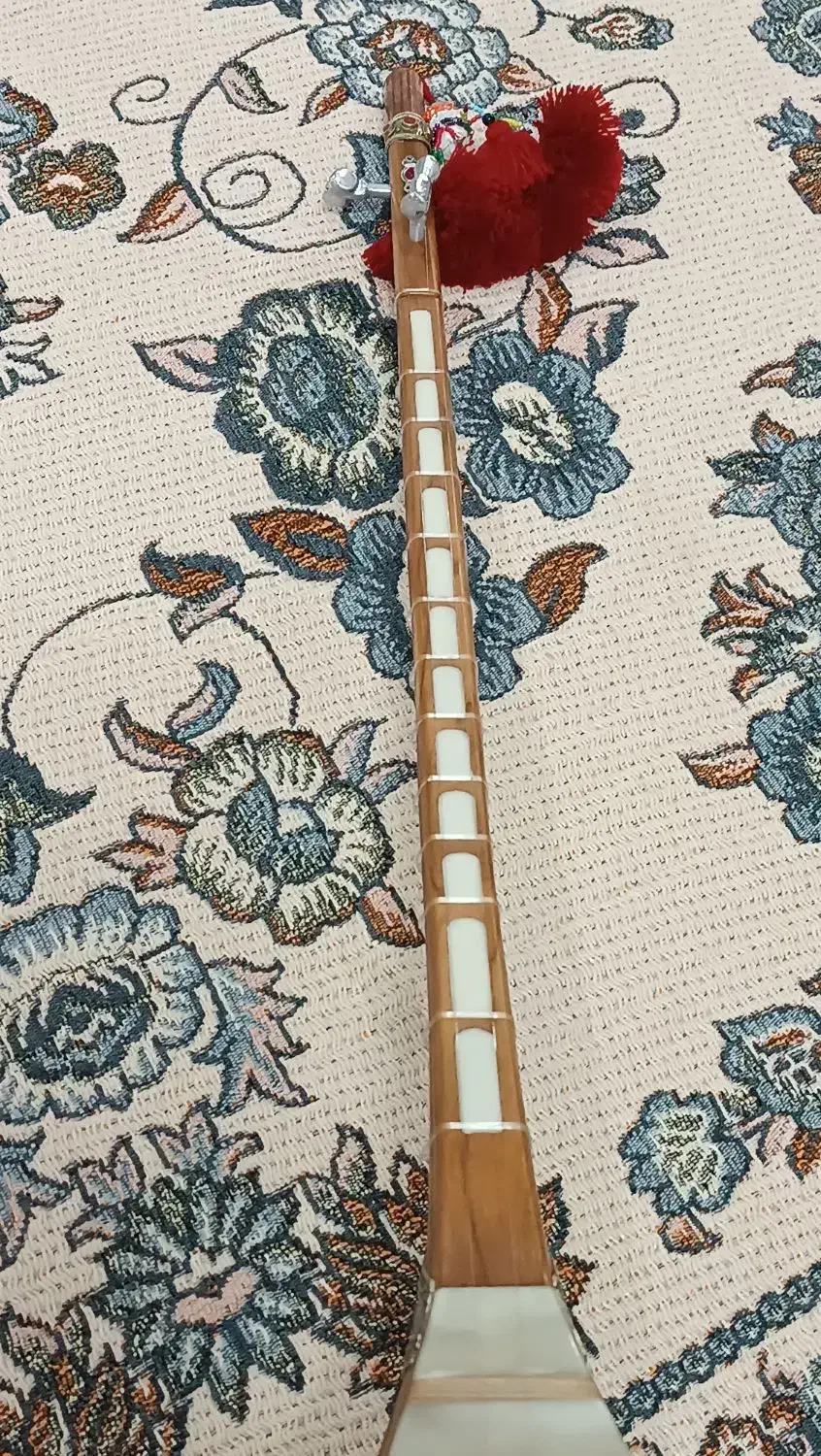 دوتار کاسه بزرگ|سازهای سنتی|بجنورد, |دیوار