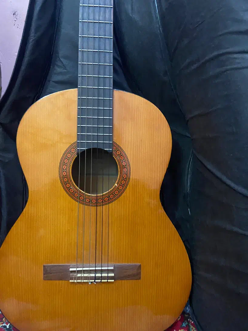 گیتار یاماها c40|گیتار، بیس، امپلیفایر|گرگان, |دیوار