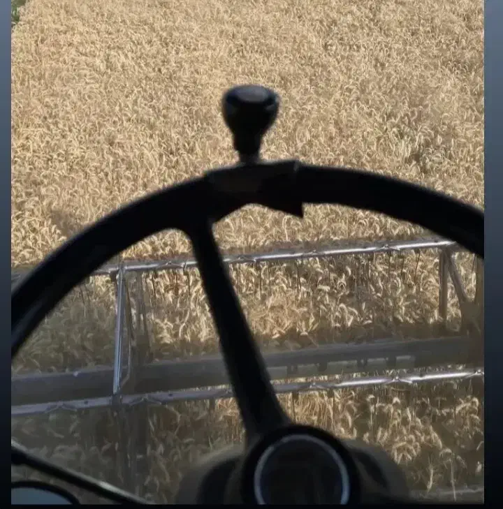 اجاره زمین برای گندم|اجارهٔ دفتر صنعتی، کشاورزی، تجاری|پارسآباد, |دیوار