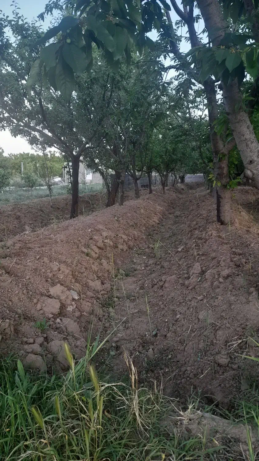 باغچه ۵۰۰متری پیشک۲|فروش زمین و ملک کلنگی|ماهدشت, |دیوار