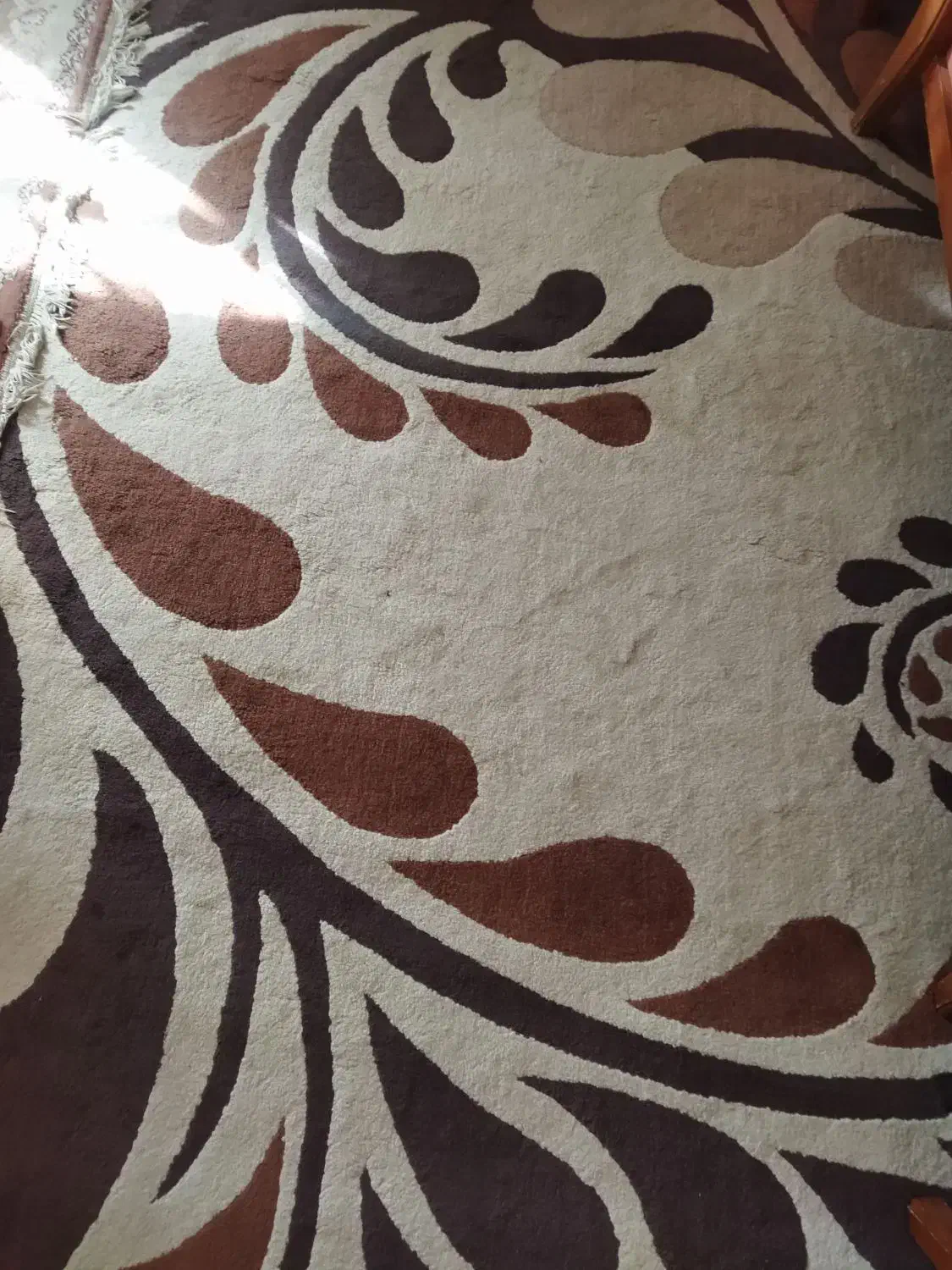 گلیم فرش لباس شویی|گلیم، جاجیم، گبه|ایلام, |دیوار