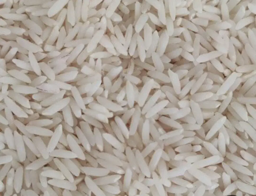 برنج طارم درجه یک عرضه از کشاورز|خوردنی و آشامیدنی|قائم‌شهر, |دیوار