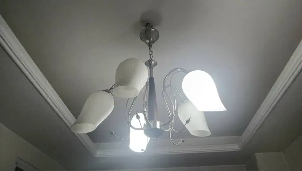 لوستر های پنج شاخه هر کدام ۲۵۰۰۰۰۰ میلیون|لوستر و چراغ آویز|تبریز, |دیوار