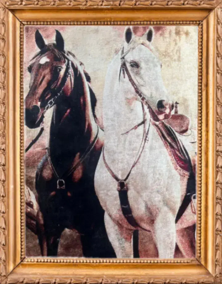 تابلو فرش و رومیزی|تابلو فرش|قم, بلوار امین و ساحلی|دیوار