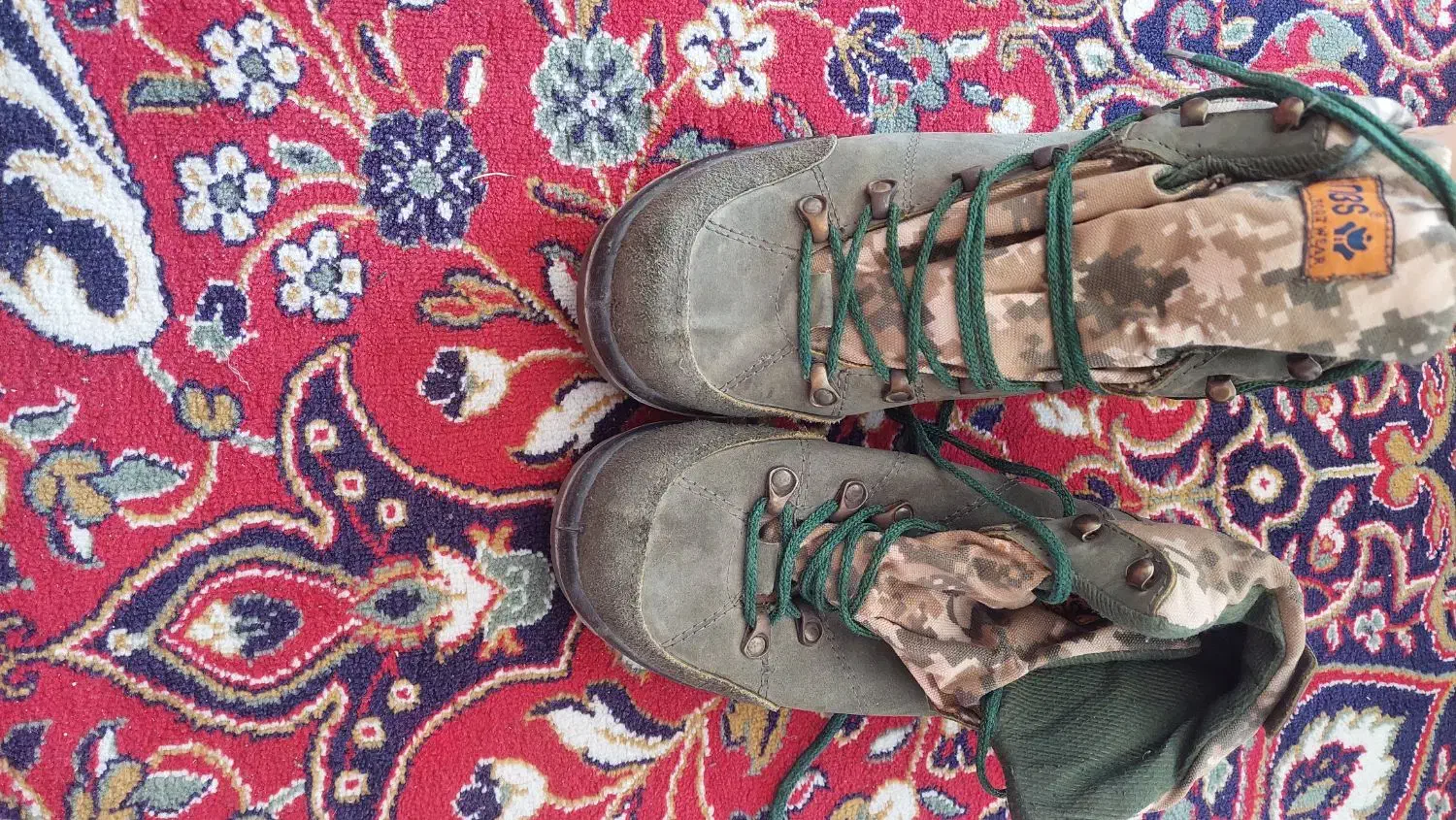 لباس نظامی سپاه|لباس|شیراز, دلجو|دیوار