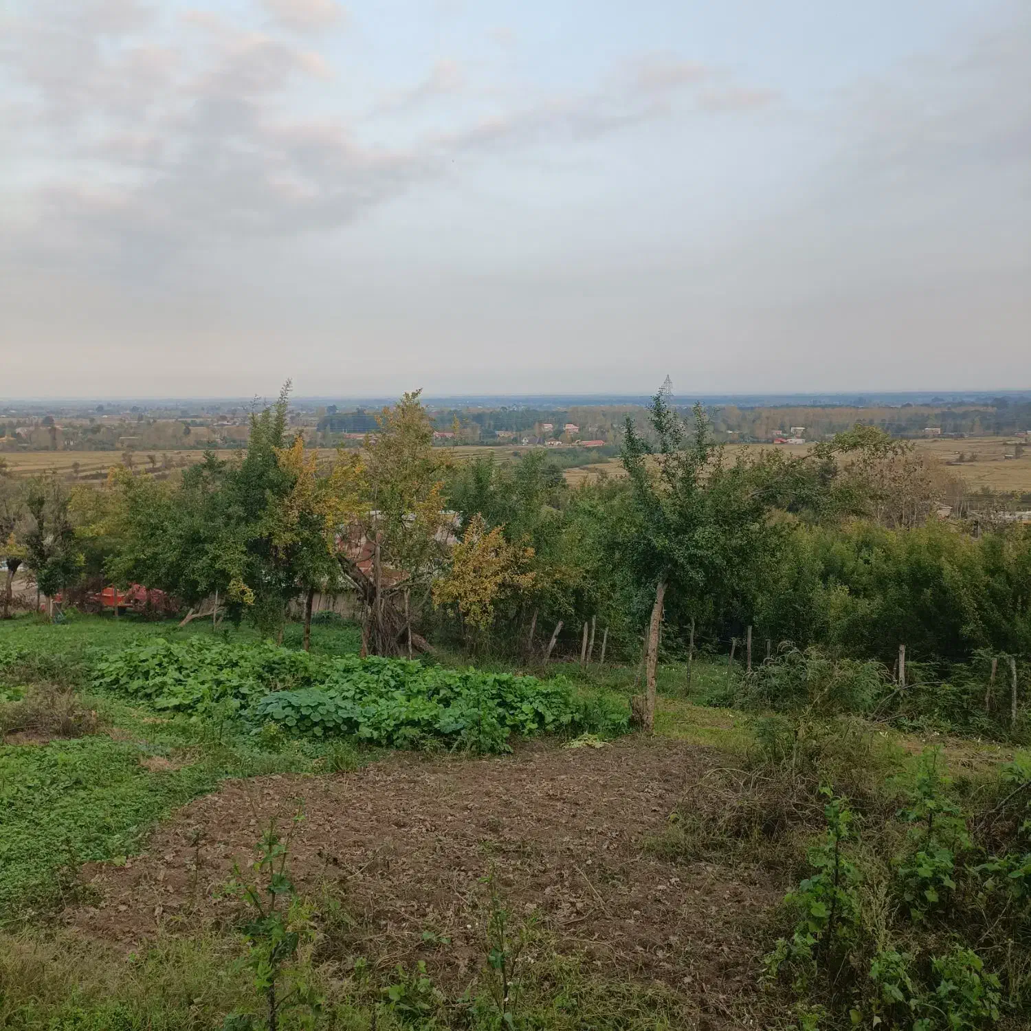زمین مسکونی ۸۰۰متر کوهپایه ای|فروش زمین و ملک کلنگی|رضوانشهر, |دیوار