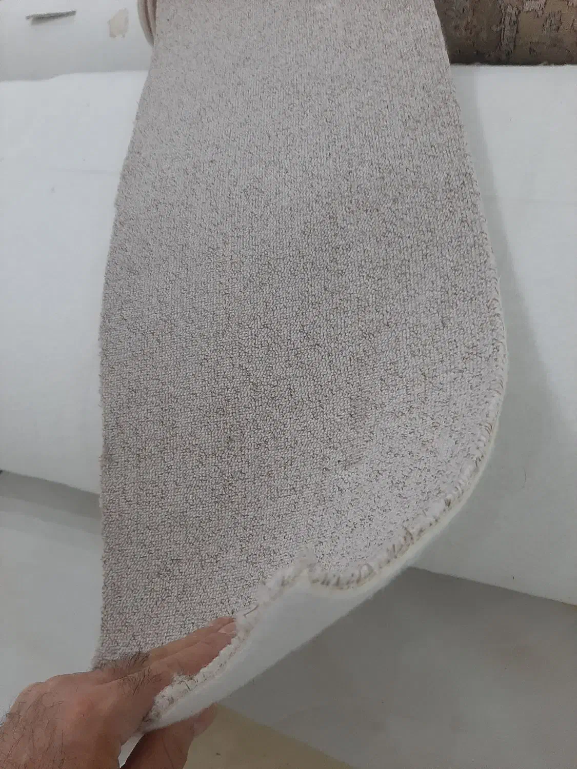 موکت پالاز موکت مدل پرزدار|موکت|سرخرود, |دیوار