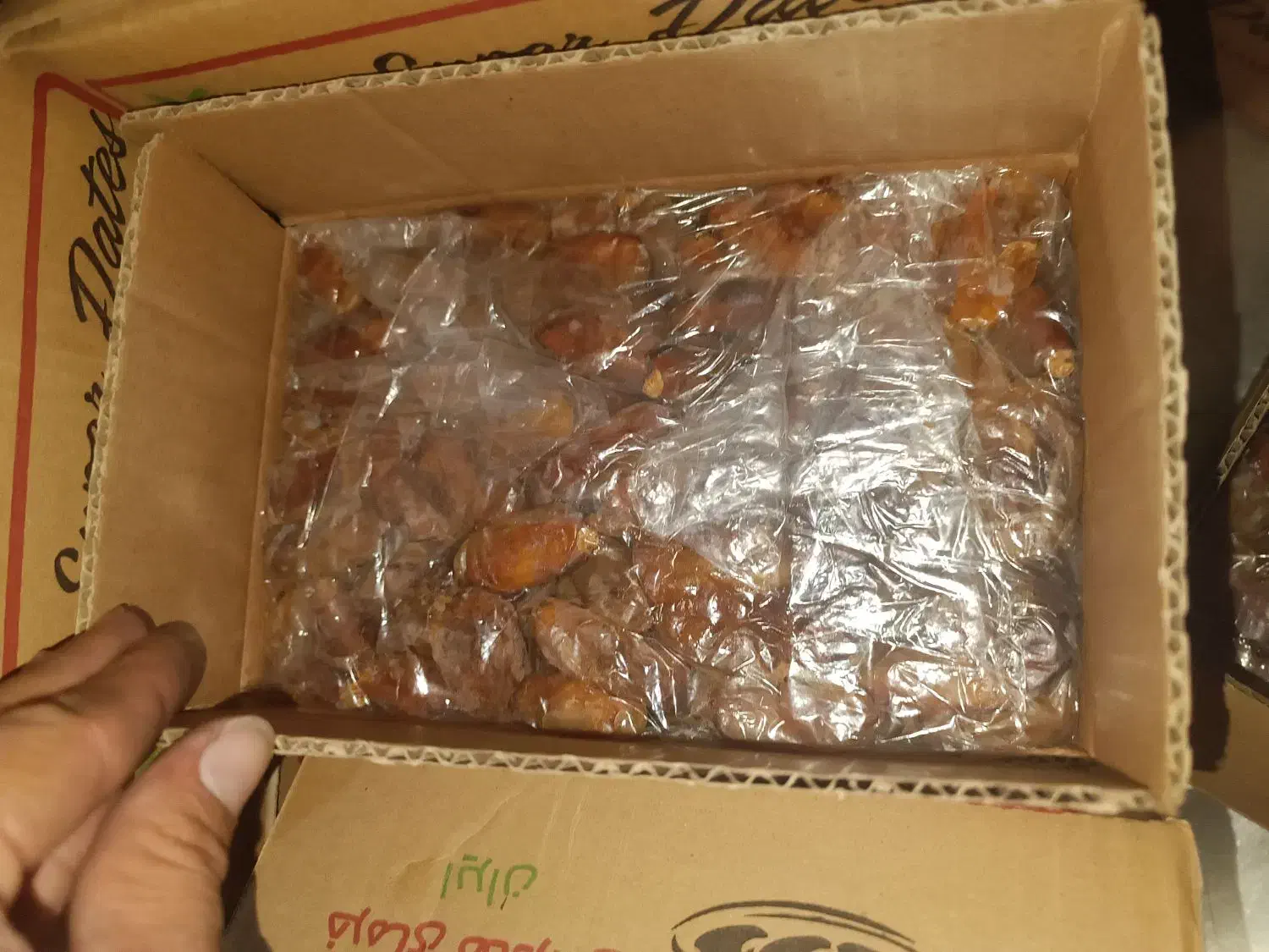 خرما شاهانی|حراج|فسا, |دیوار