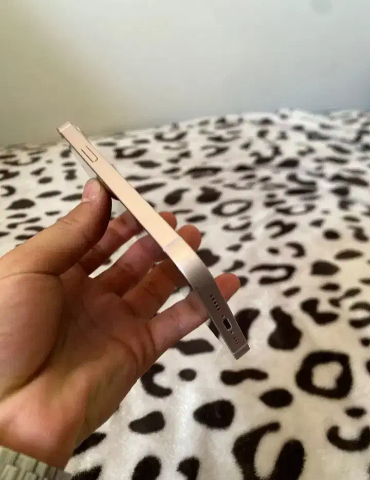 ایفون 13نرمال 128گیگ|موبایل|ارومیه, |دیوار