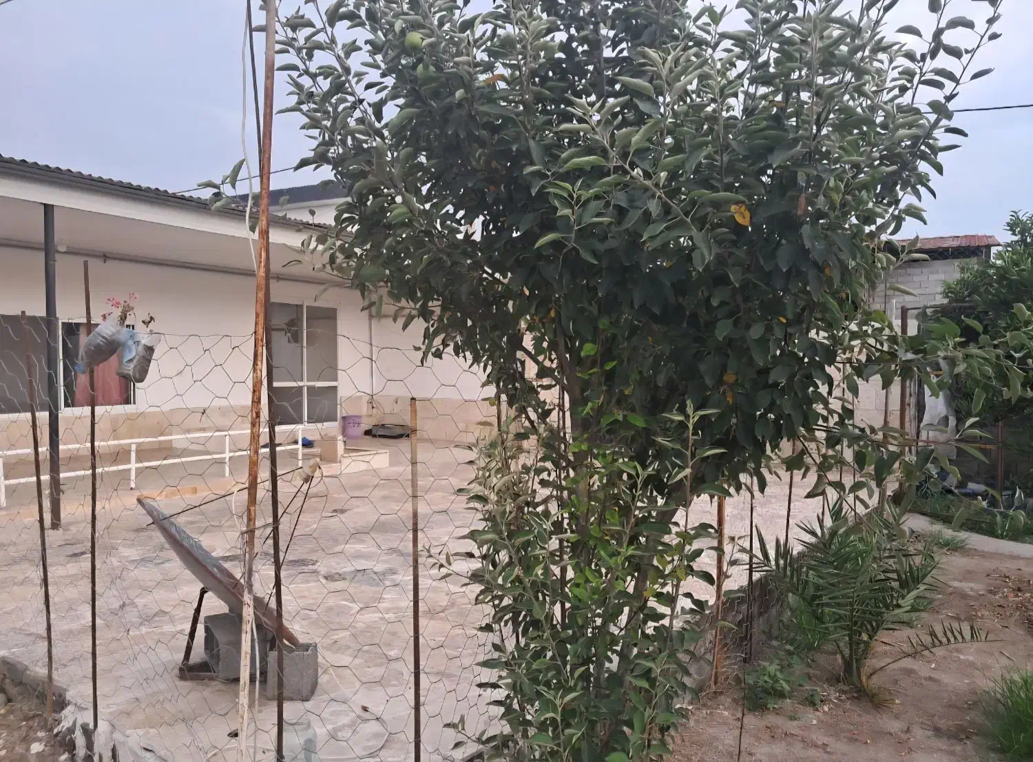 سوئیت اجاره ای|اجارهٔ کوتاه‌مدت آپارتمان و سوئیت|سرخرود, |دیوار