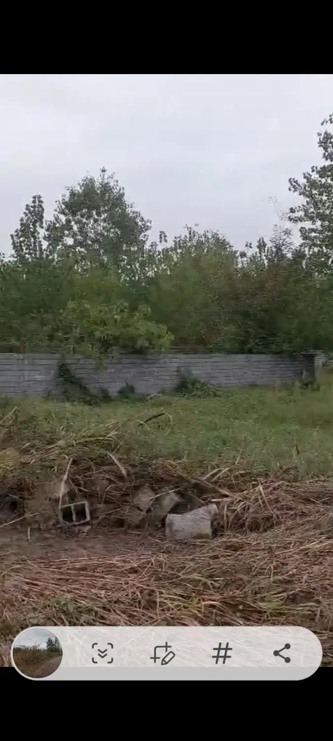 فروش و معاوضه چند پلاک زمین سندوپروانه ساخت رودبنه|فروش زمین و ملک کلنگی|رودبنه, |دیوار