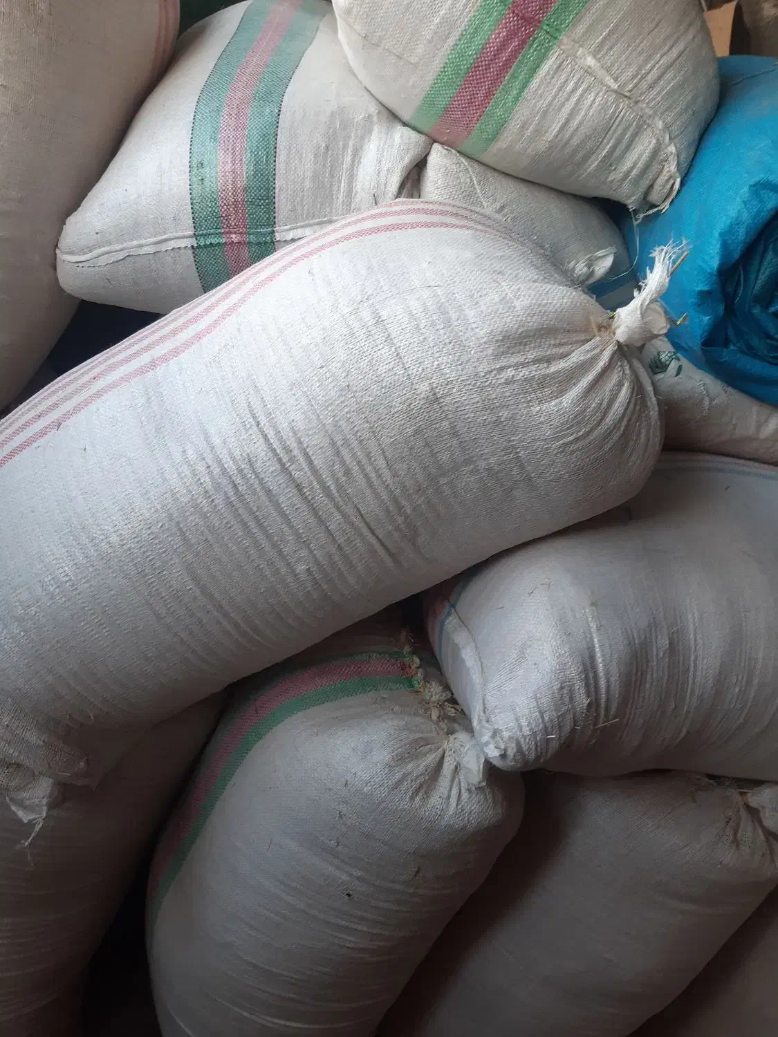 کاه|لوازم جانبی حیوانات|زاگرس, |دیوار