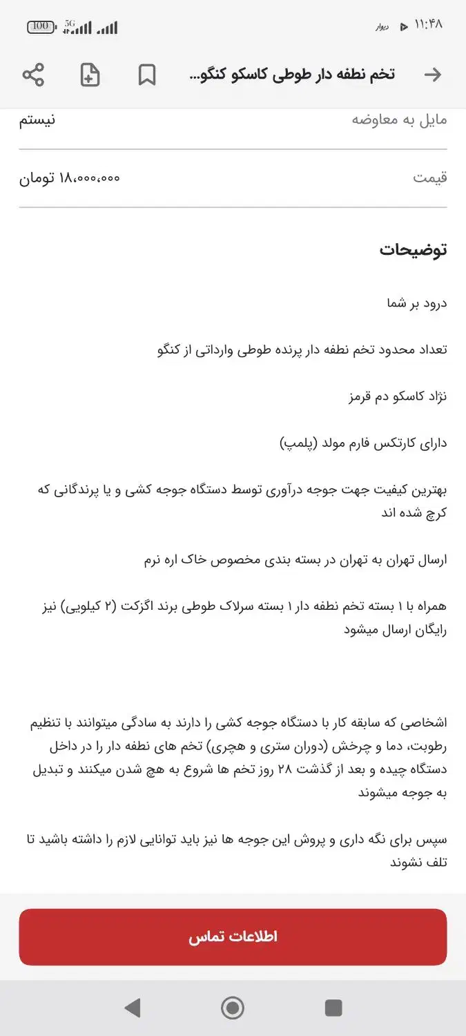 جوجه کاسکو|پرنده|تهران, قزل قلعه|دیوار