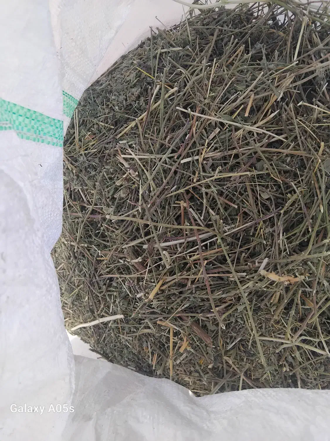 گیاه داروی خشک توگونی|عمدهفروشی|خزل, |دیوار