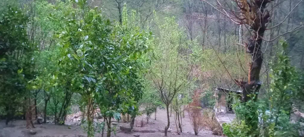 سویت قیمت مناسب جاده ییلاق اولسبلنگاه لب رودخونه|اجارهٔ کوتاه‌مدت آپارتمان و سوئیت|ماسال, |دیوار