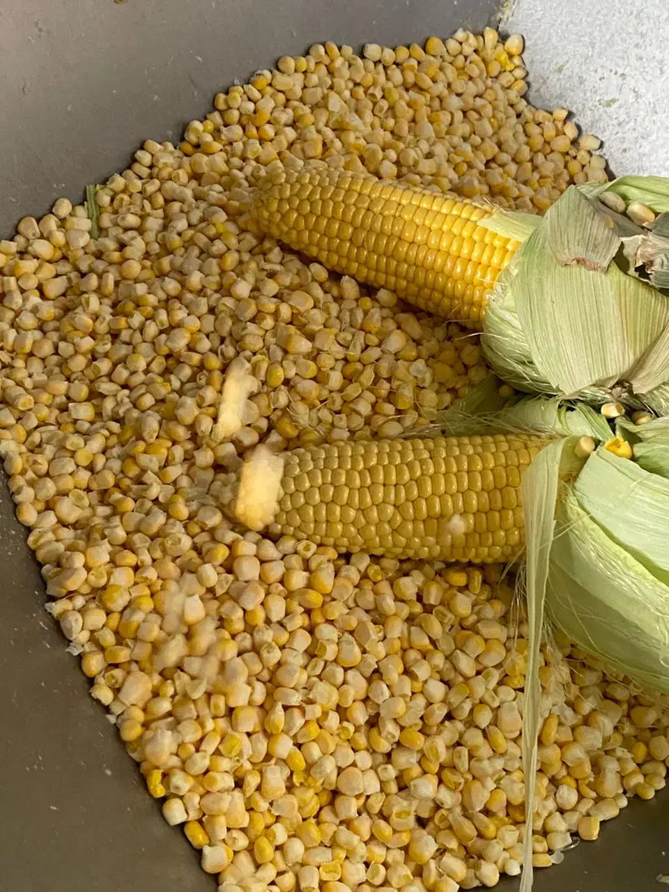 پخش عمده ذرت و باقالی|خوردنی و آشامیدنی|تهران, سید خندان (جلفا)|دیوار