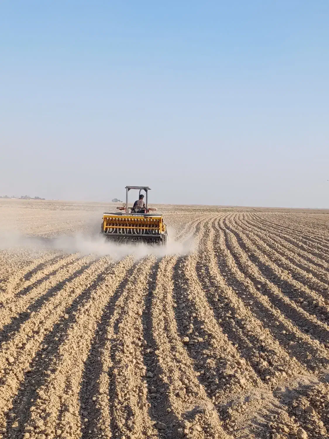 زمین کشاورزی اجاره داده می‌شود|اجارهٔ دفتر صنعتی، کشاورزی، تجاری|رامشیر, |دیوار