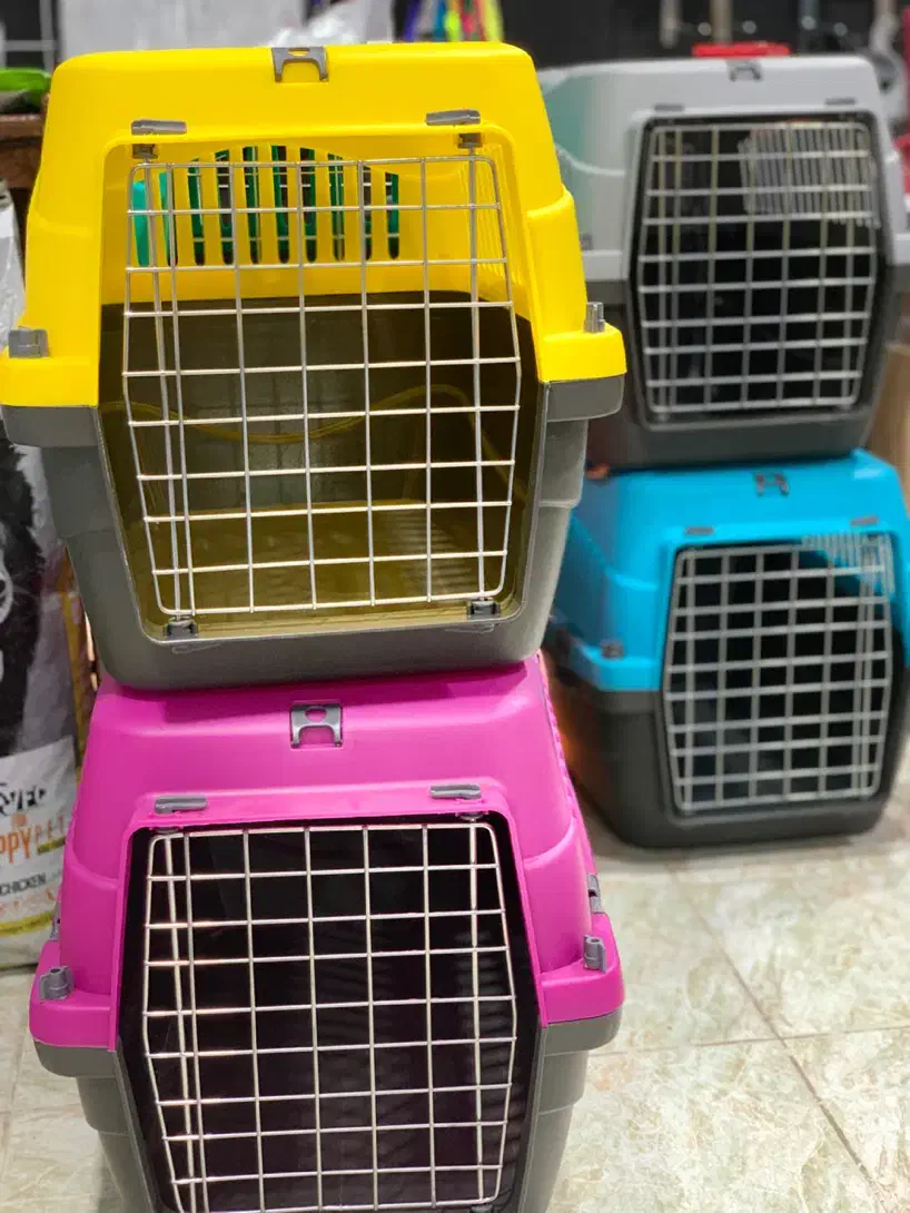 باکس حمل گربه و سگ|لوازم جانبی حیوانات|بانه, |دیوار