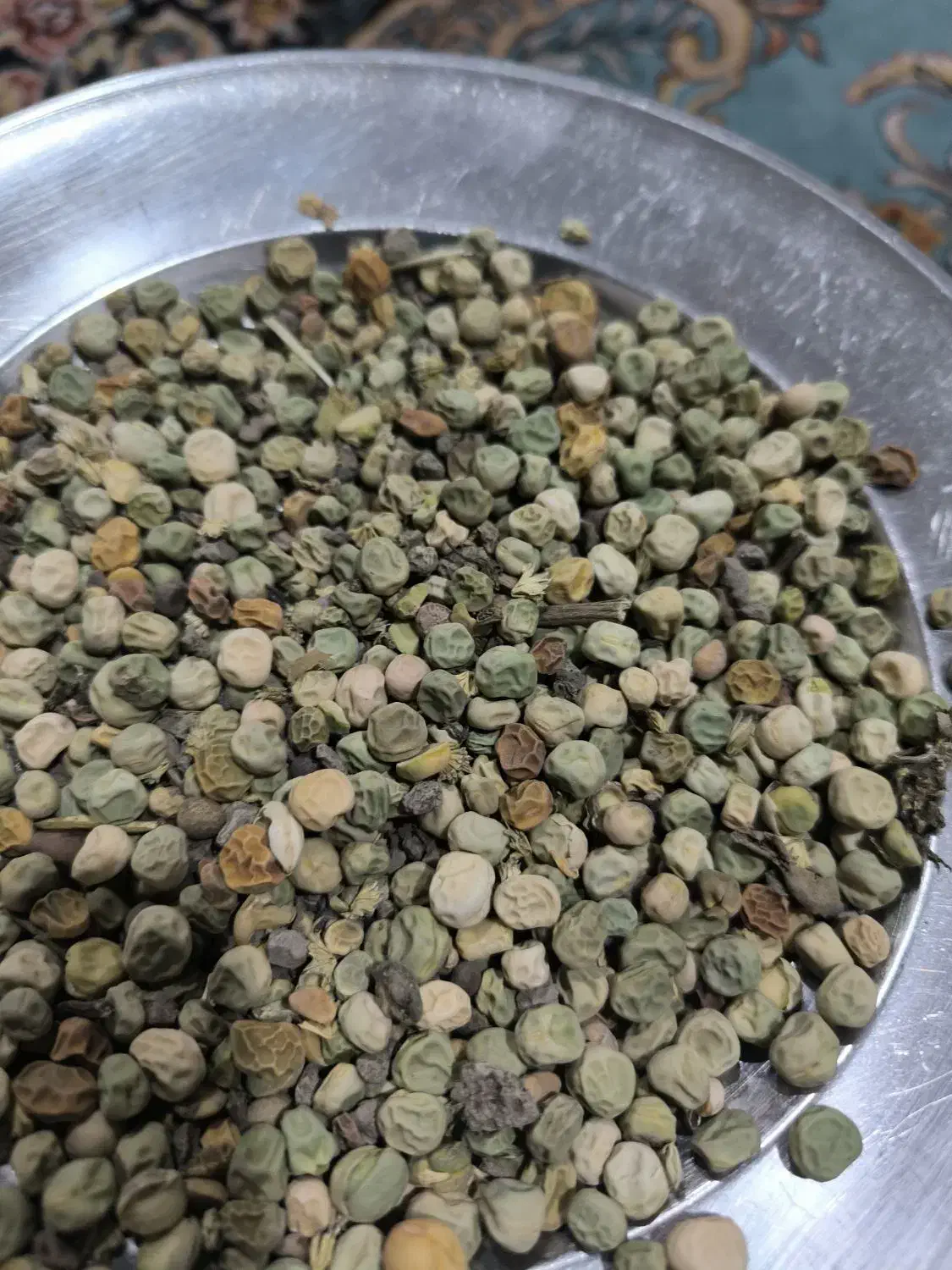 بذر نخود فرنگی|عمدهفروشی|آزادشهر, |دیوار