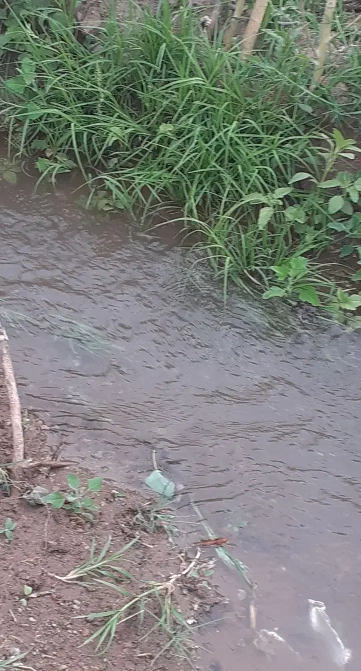 فروش یا اجاره زمین کشاورزی با سهمیه اب|فروش دفتر صنعتی، کشاورزی، تجاری|سراب, |دیوار