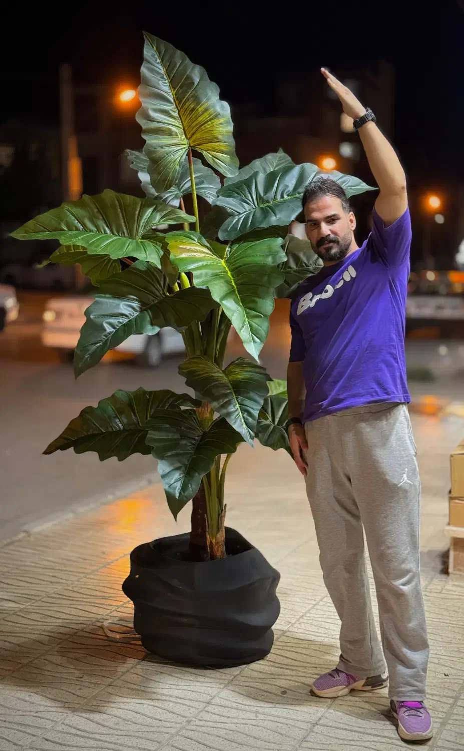 درخت مصنوعی|گل مصنوعی|کرمانشاه, |دیوار