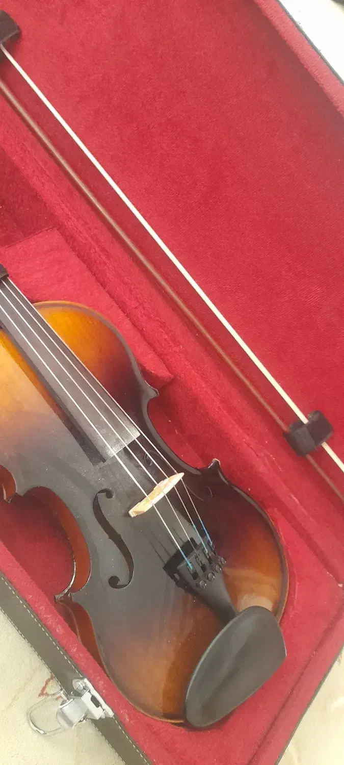 ویولن|ویولن|الشتر, |دیوار