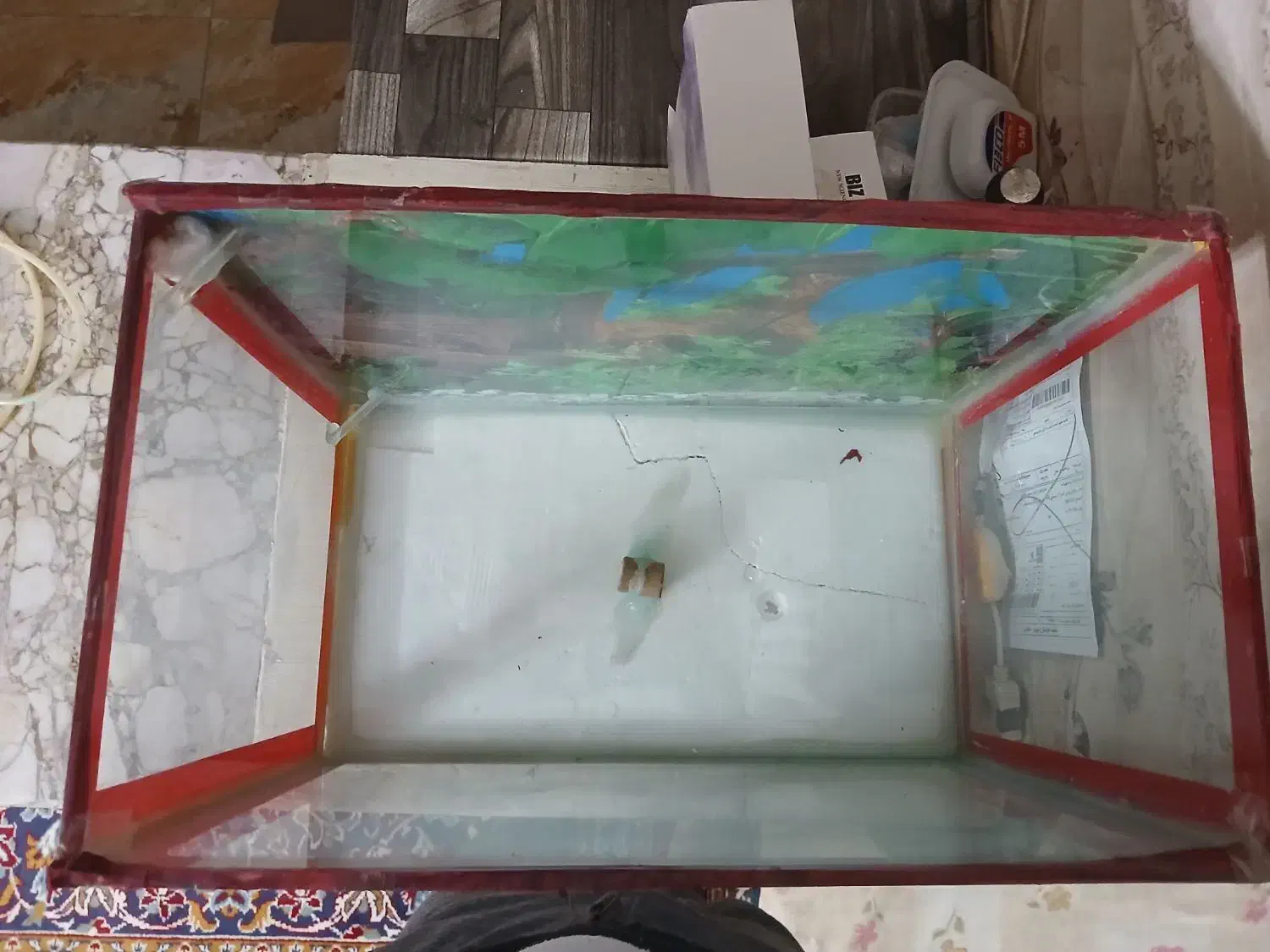 فروش آکواریوم سالم|ماهی|شاندیز, |دیوار