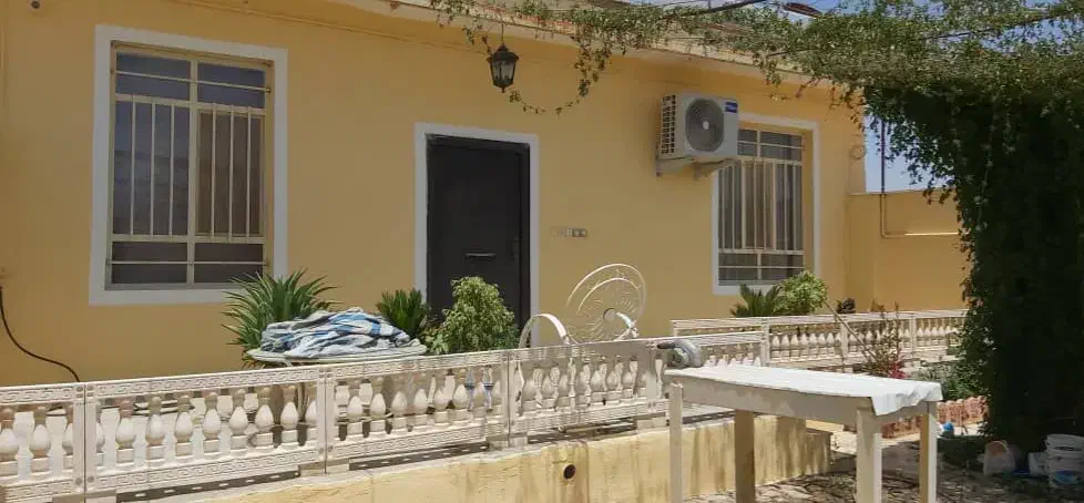 نقاشی و رنگ آمیزی ساختمان|خدمات پیشه و مهارت|دوگنبدان, |دیوار