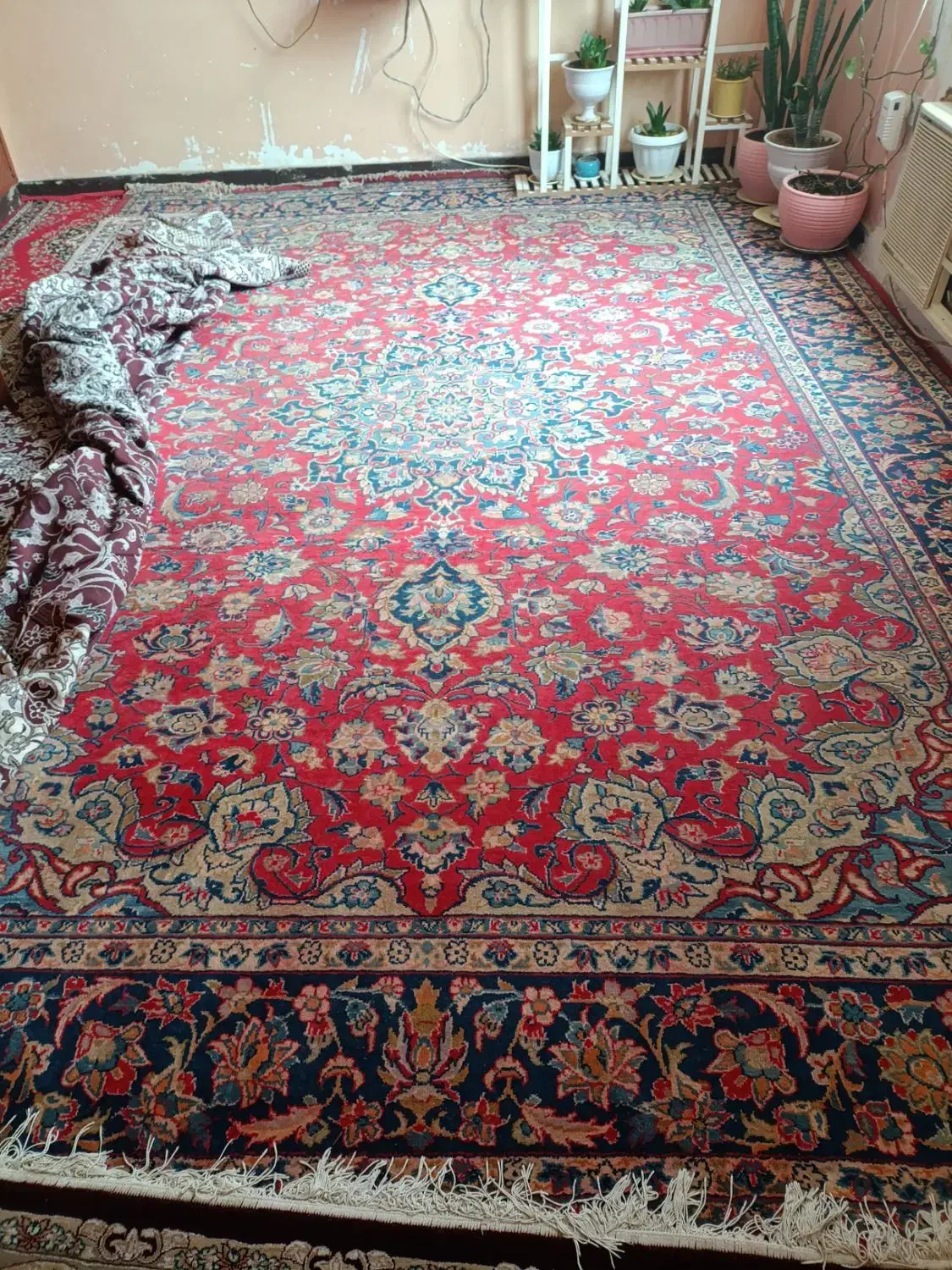 فرش دست بافت با قدمت ۴۰سال|فرش|خرمشهر, |دیوار