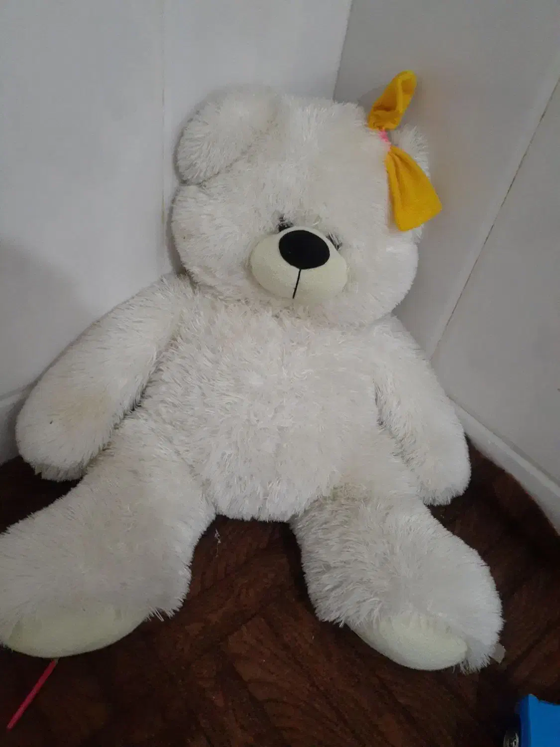 خرس بزرگ|اسباب‌بازی بچه|قم, نیروگاه|دیوار