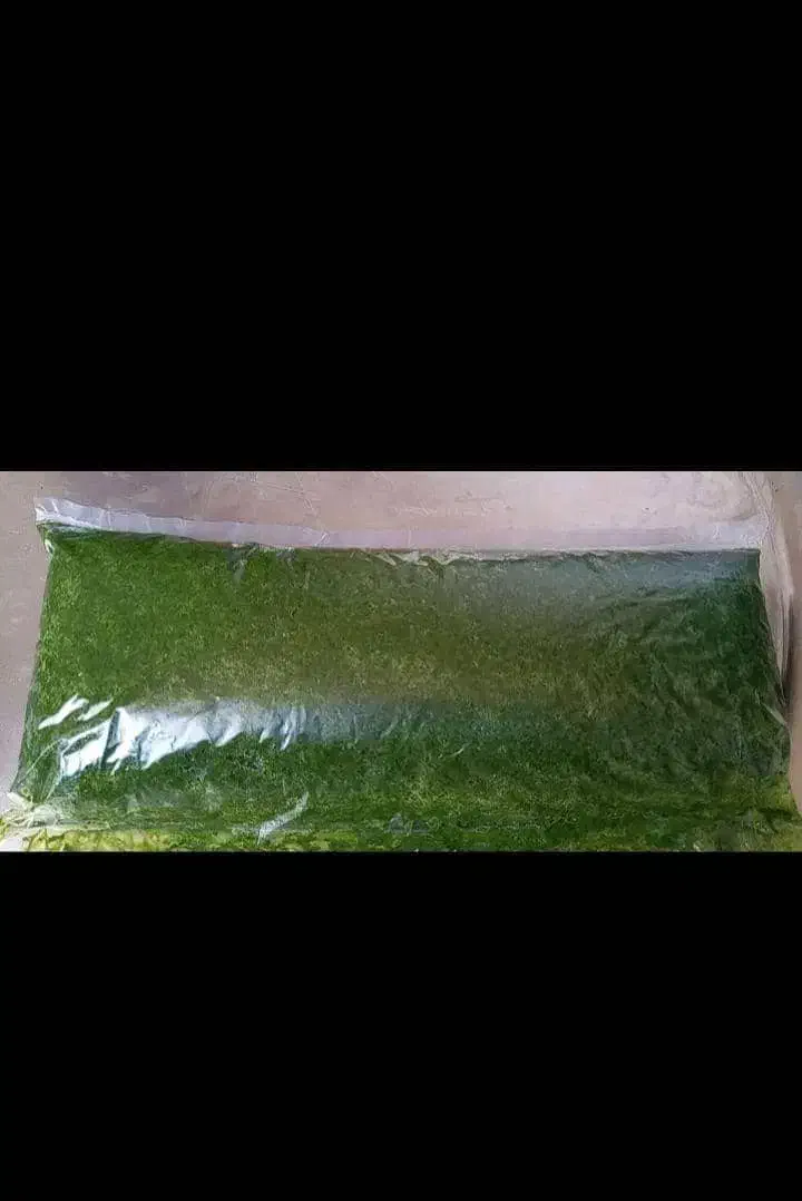 سبزی خورشت اماده و فریز شده|خوردنی و آشامیدنی|دهدشت, |دیوار