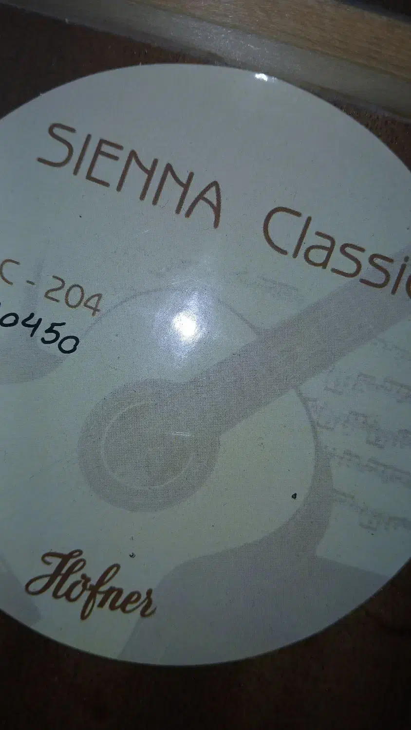 گیتار هافنر آلمان|گیتار، بیس، امپلیفایر|چناران, |دیوار