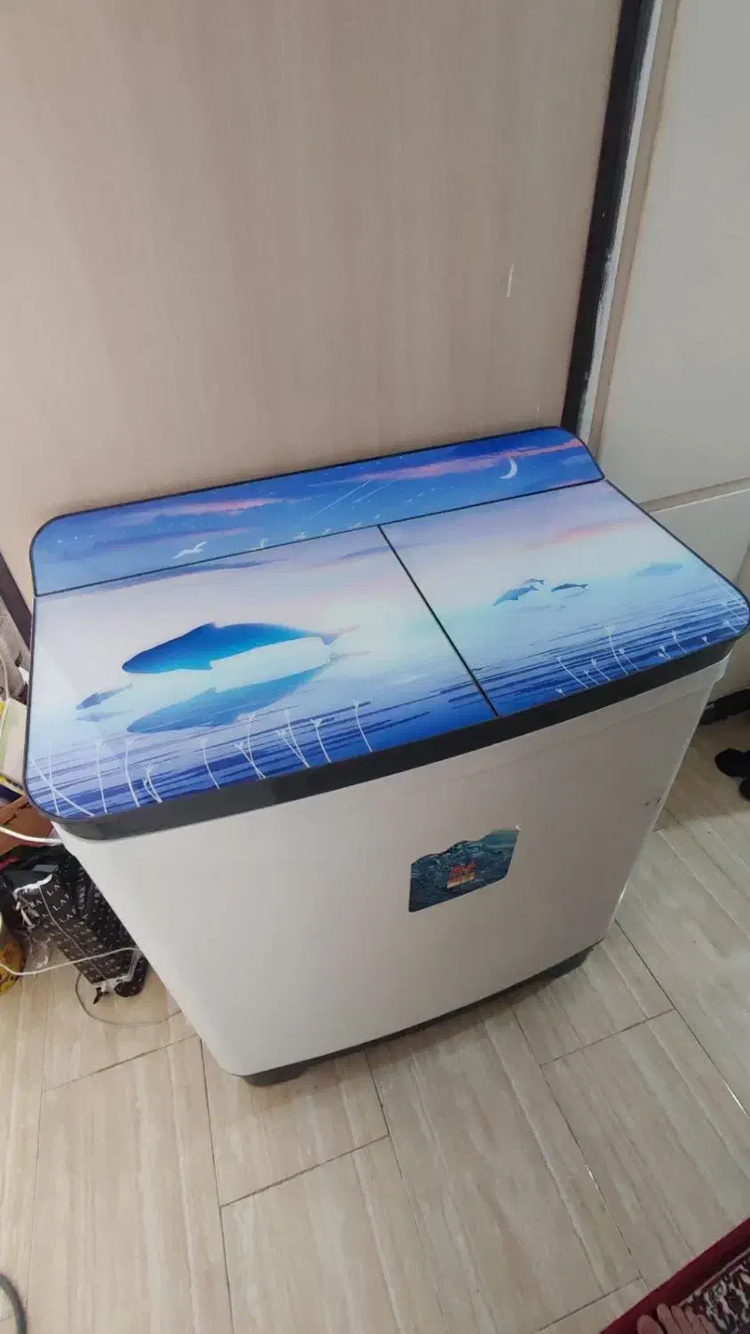 لباسشویی پاکشوما دوقلو|ماشین لباسشویی و خشک‌کن لباس|کنارک, |دیوار