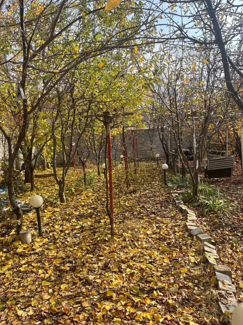 ۶۵۰متر باغچه کردان|فروش دفتر صنعتی، کشاورزی، تجاری|کرج, بهشت سکینه|دیوار