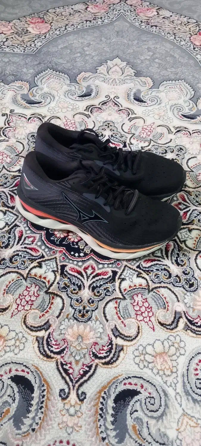 کفش های اورجینال|کیف، کفش، کمربند|گنبد کاووس, |دیوار