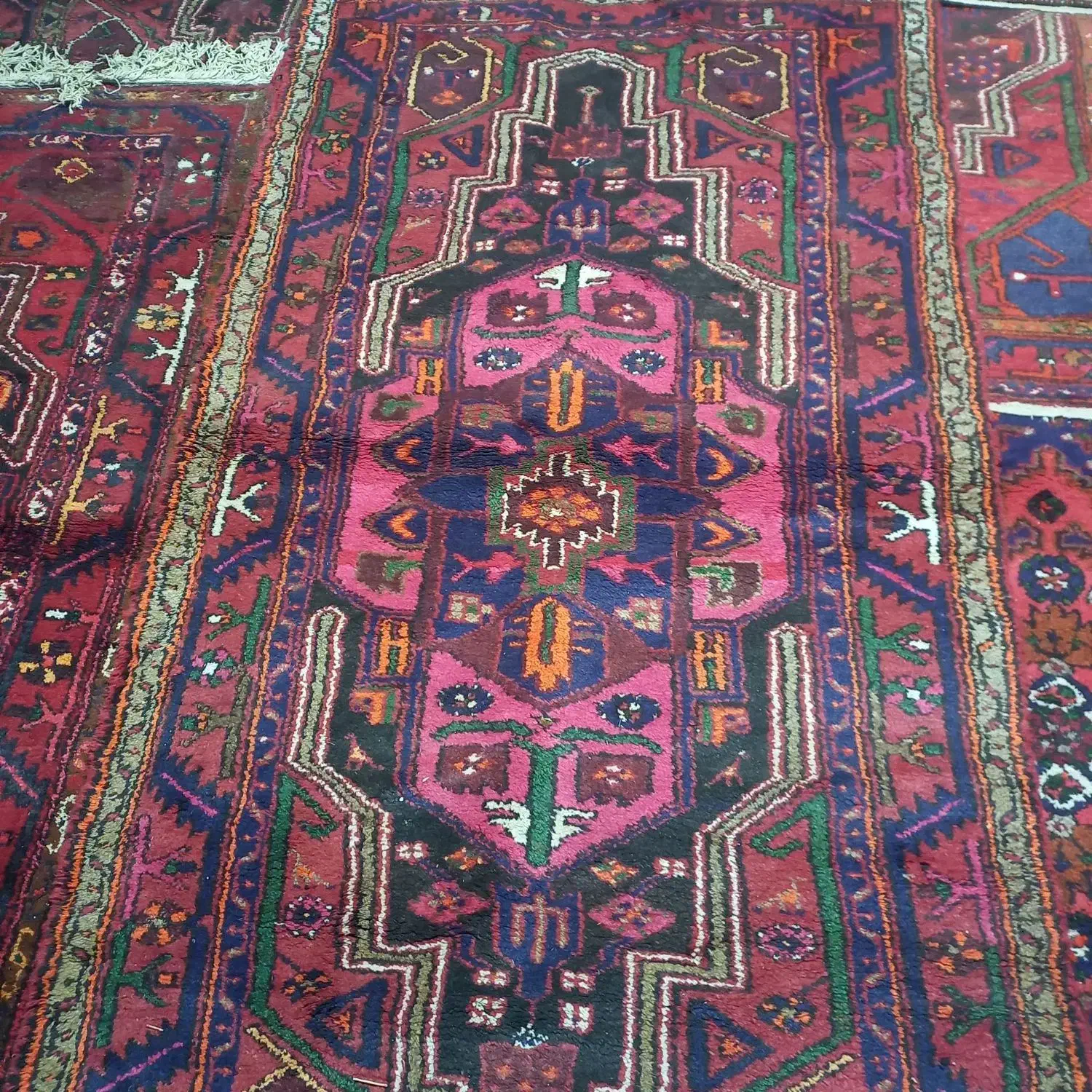 فروش قالی دستی|فرش|قیدار, |دیوار