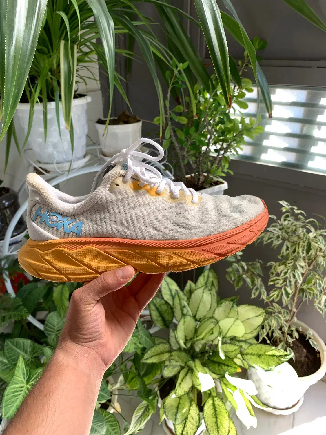 کتونیه اورجینال تاناکورا|کیف، کفش، کمربند|بوکان, |دیوار