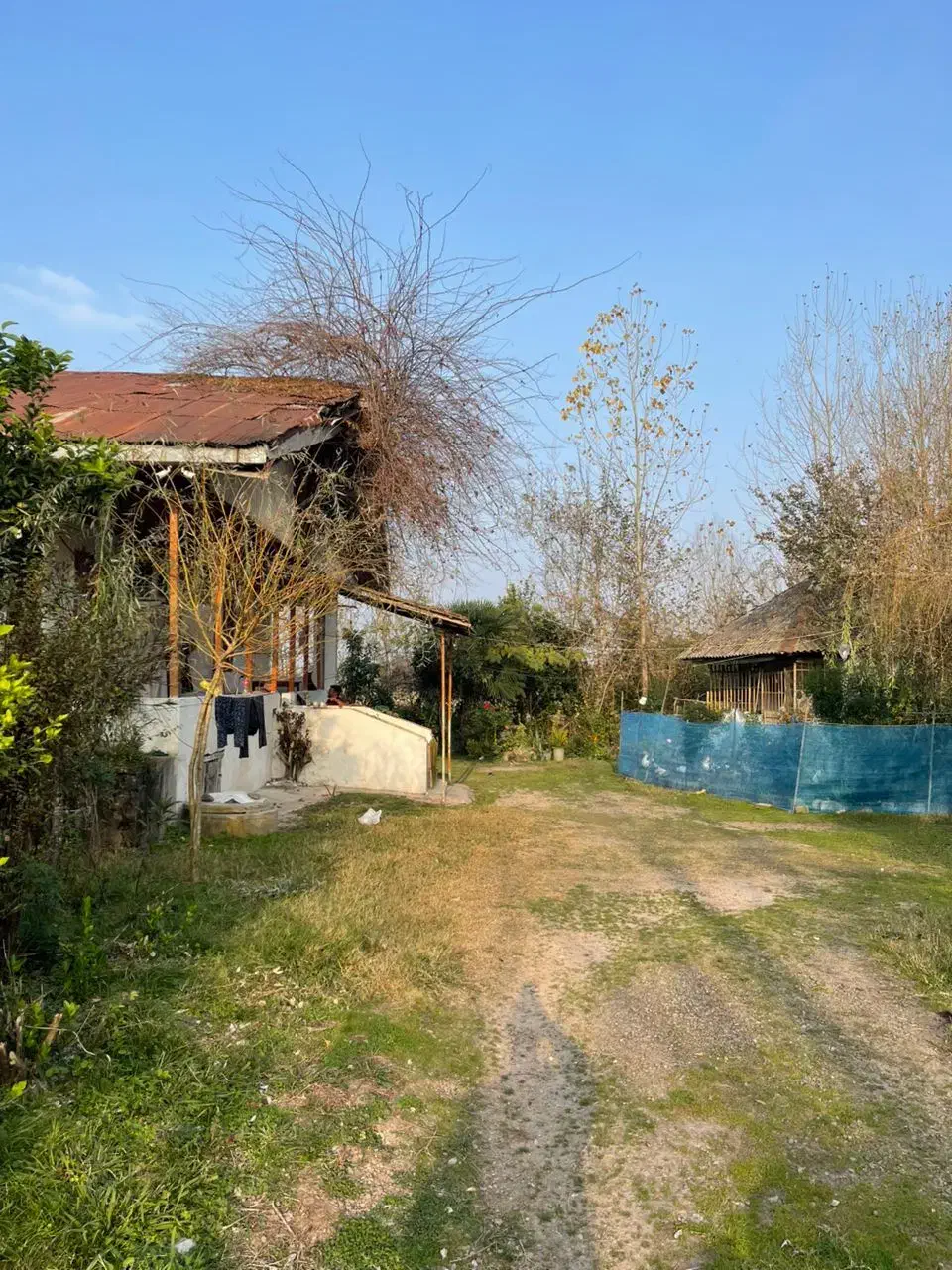 خانه و شالیزار 15هزار متری|فروش خانه و ویلا|رشت, دیلمان|دیوار