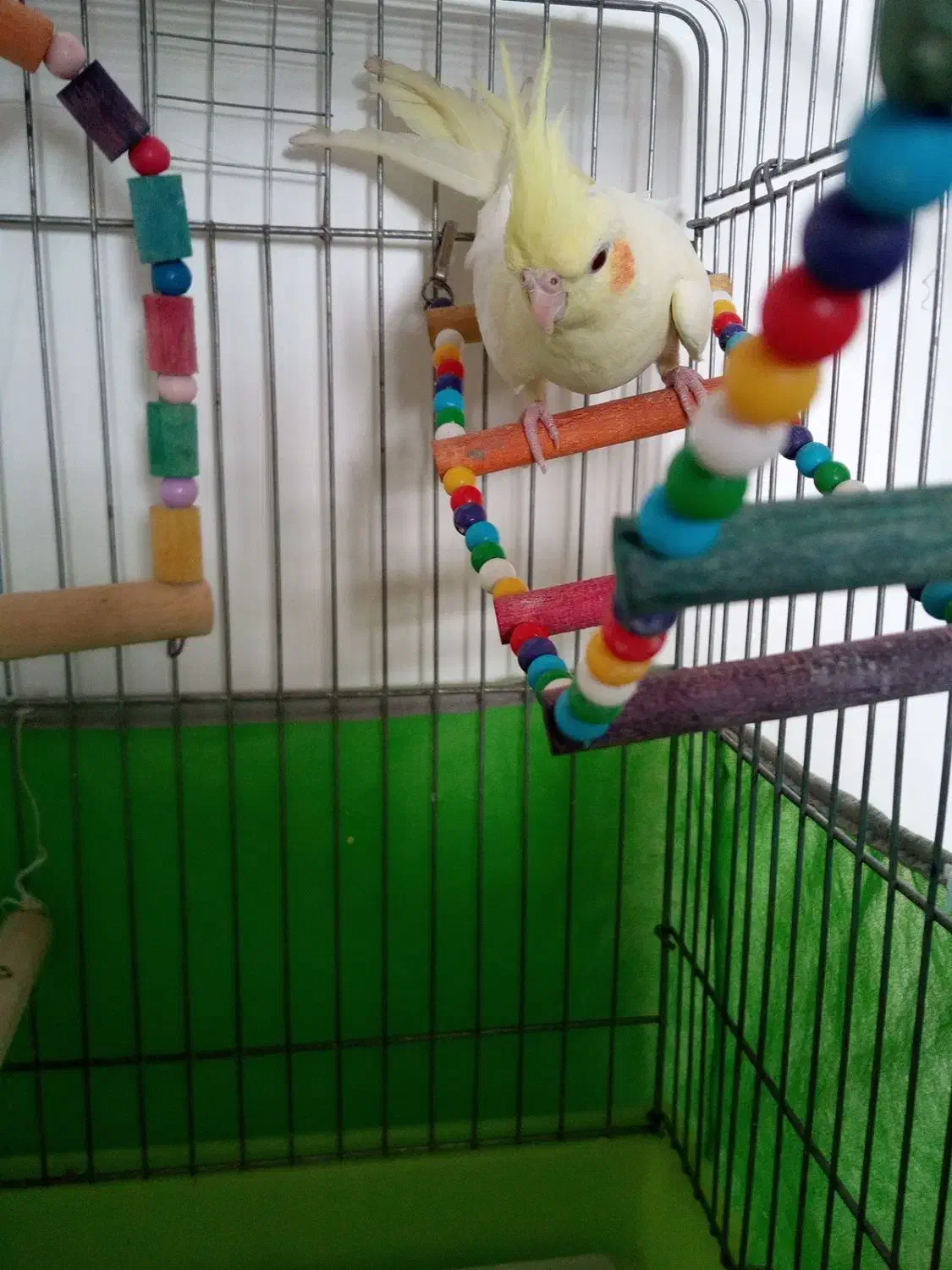 لوازممنزل عروسنر|حراج|قزوین, |دیوار