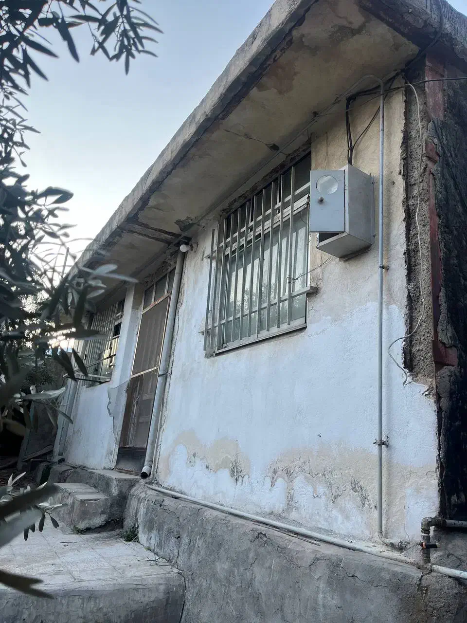خونه ویلایی همراه با  باغ زیتون در رودبار گیلان|فروش خانه و ویلا|رودبار, |دیوار