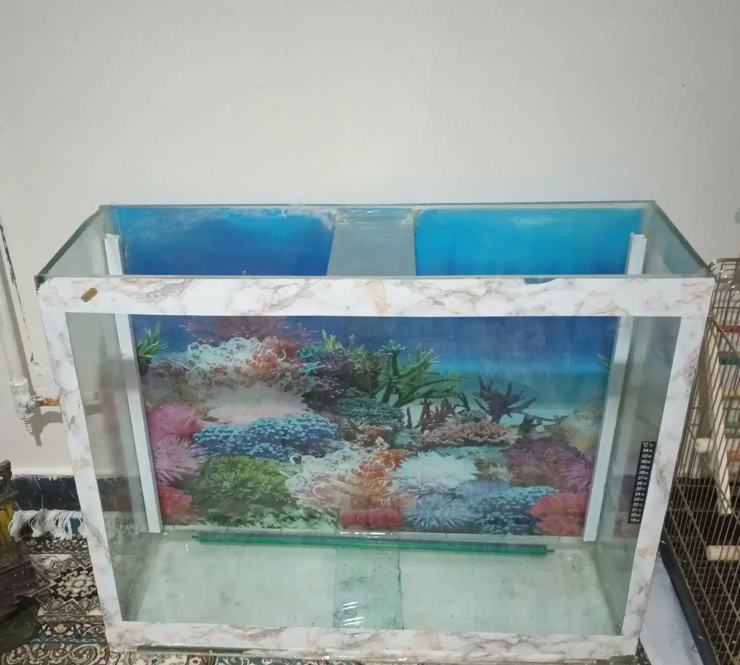 آکواریوم|ماهی|سبزوار, باهنر|دیوار