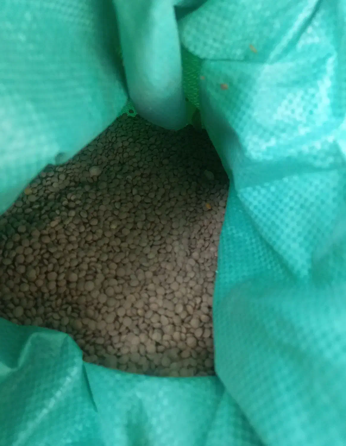 حبوبات عدالت|خوردنی و آشامیدنی|تهران, سلسبیل شمالی|دیوار